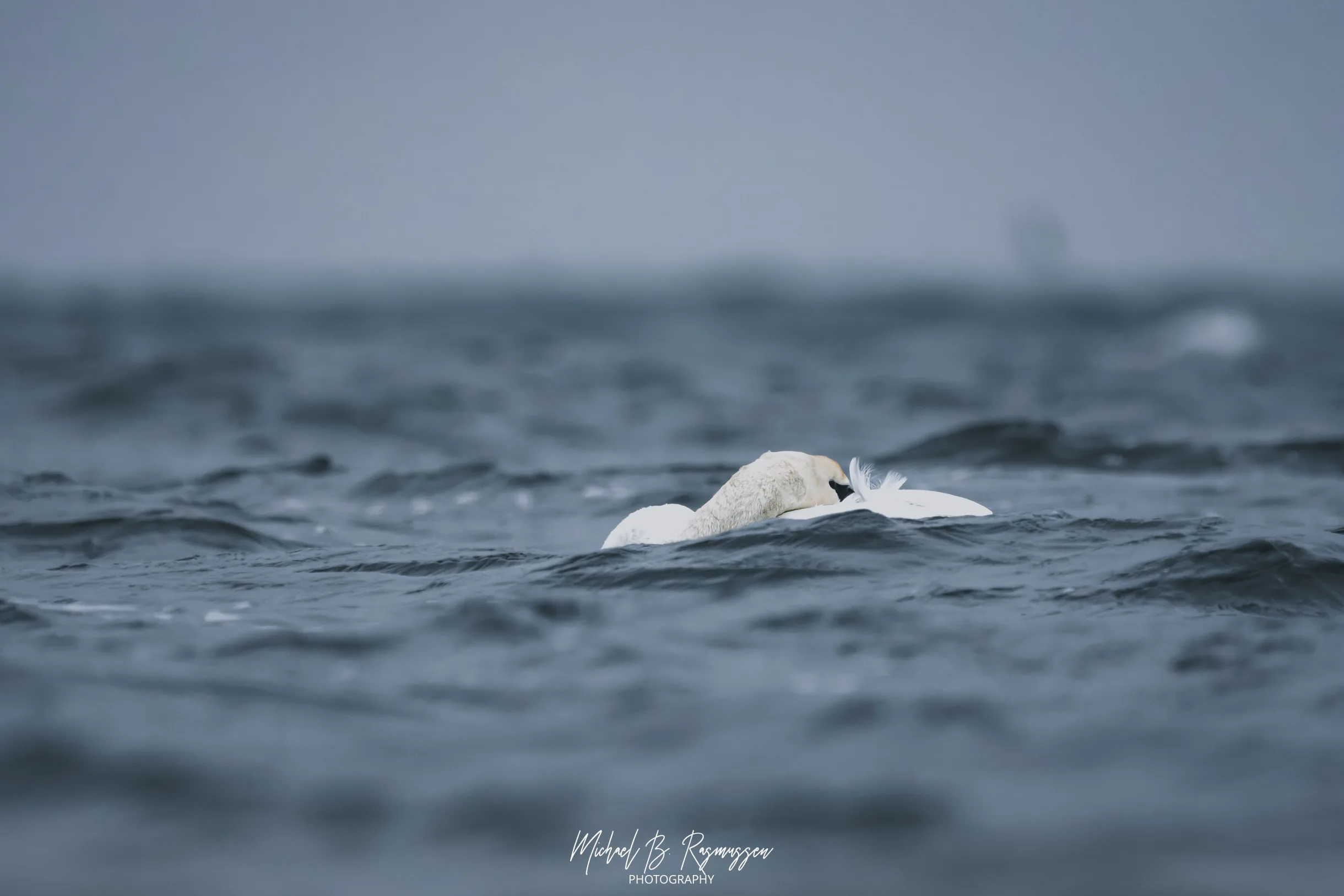 Frisk luft og stormfulde bølger på Enø Overdrev
